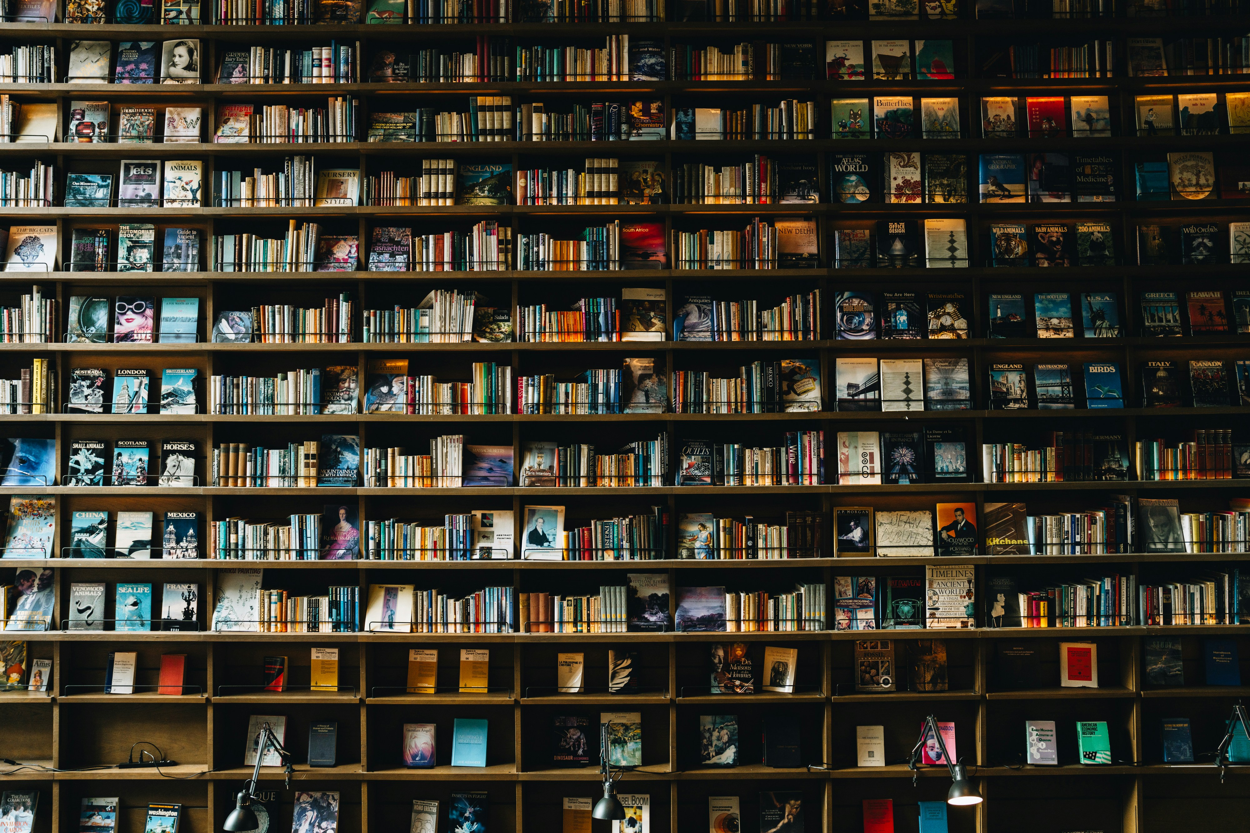 Books - Photo by Peter Thomas on Unsplash